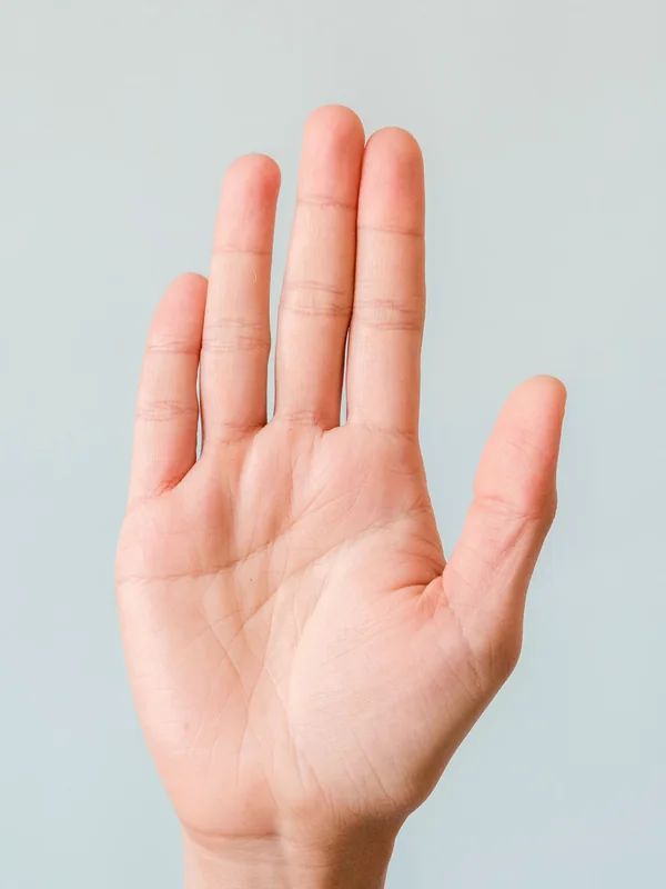A real photo of an open palm inside a phone frame. No lines are drawn on it; lines appear only after a real scan.
