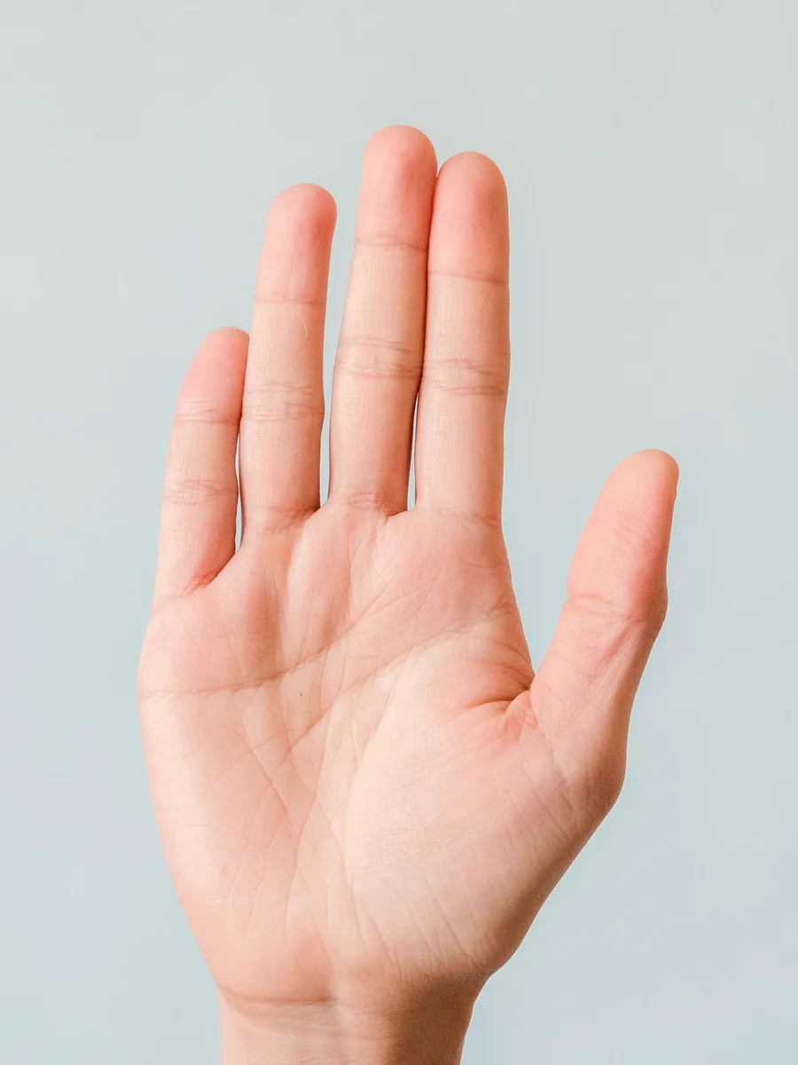 A real photo of an open right palm, fingers spread. The real PalmSays scanner traced its lines; the heart line stands out, running from the little-finger edge towards the gap between the index and middle fingers. Dotted finger guides run down from each finger.