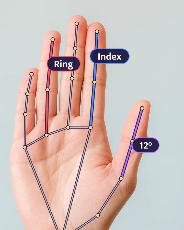 Real result of the finger reader on a real palm photo: index and ring fingers and the thumb angle marked on the hand