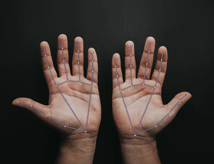 Real result of the left vs right tool: the joint points the hand model found on a real left and right palm