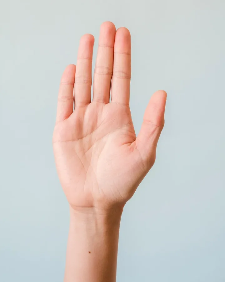 A real palm photo that passes the checks: bright, sharp, whole hand in the frame