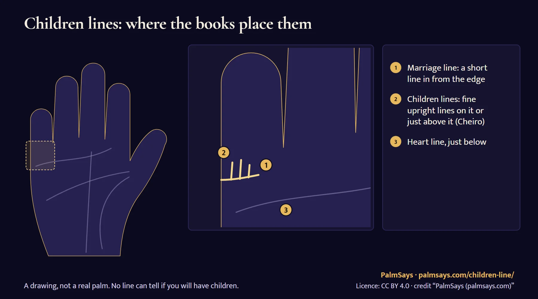 Drawing of the outer edge of the palm under the little finger, with a small whole-palm map marking the area: 1 a marriage line running in from the edge, 2 three fine upright lines rising from it, which Cheiro called children lines, 3 the heart line below.