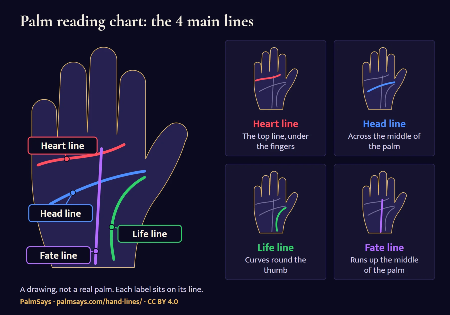 Palm reading chart on a drawn palm, each main line labelled on the line itself: the heart line, the top line under the fingers; the head line across the middle of the palm; the life line curving round the thumb; the fate line running up the middle of the palm. Four small palms show each line on its own.