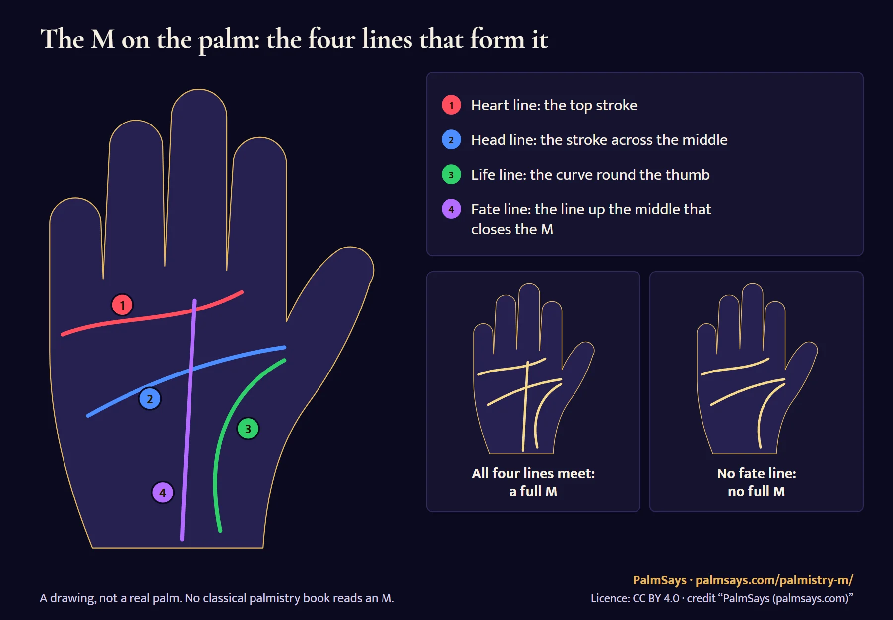 Drawing of the M on the palm: 1 the heart line across the top, 2 the head line across the middle, 3 the life line curving round the thumb, 4 the fate line running up the middle. Two small palms compare a full M, where all four lines meet, with a palm that has no fate line and so no full M.