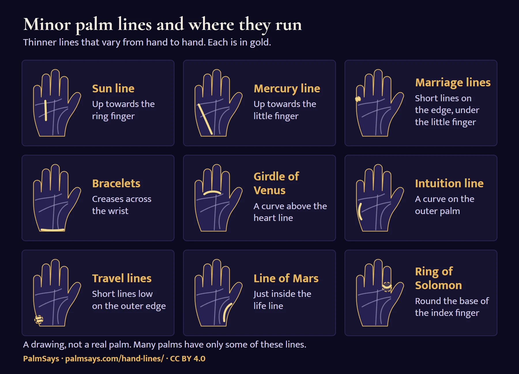 Nine small drawn palms, each with one minor line in gold and its name: sun line, up towards the ring finger; Mercury line, up towards the little finger; marriage lines, short lines on the edge under the little finger; bracelets, creases across the wrist; girdle of Venus, a curve above the heart line; intuition line, a curve on the outer palm; travel lines, short lines low on the outer edge; line of Mars, just inside the life line; ring of Solomon, round the base of the index finger.
