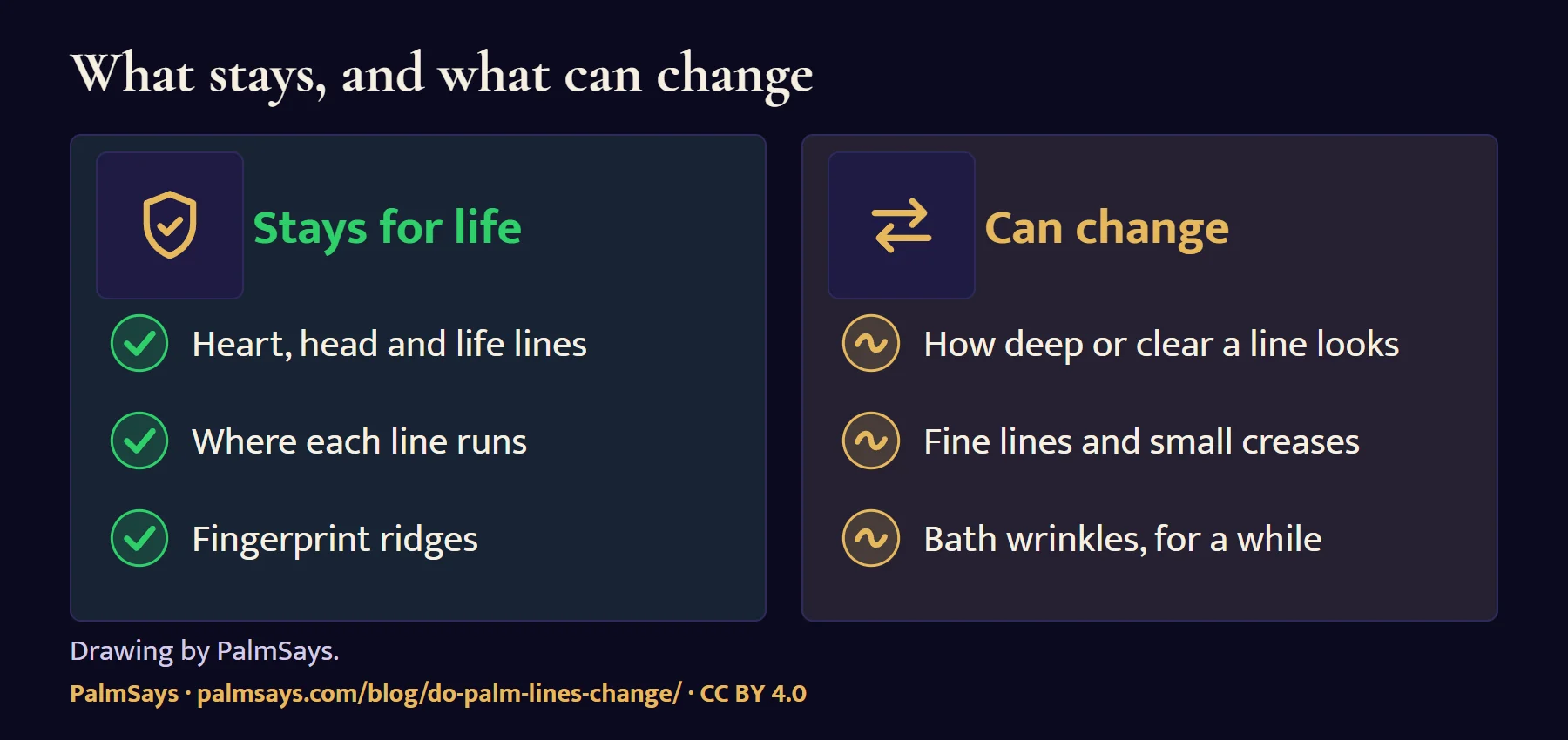 Two panels. Stays for life: the heart, head and life lines, where each line runs, and fingerprint ridges. Can change: how deep or clear a line looks, fine lines and small creases, and bath wrinkles, for a while.