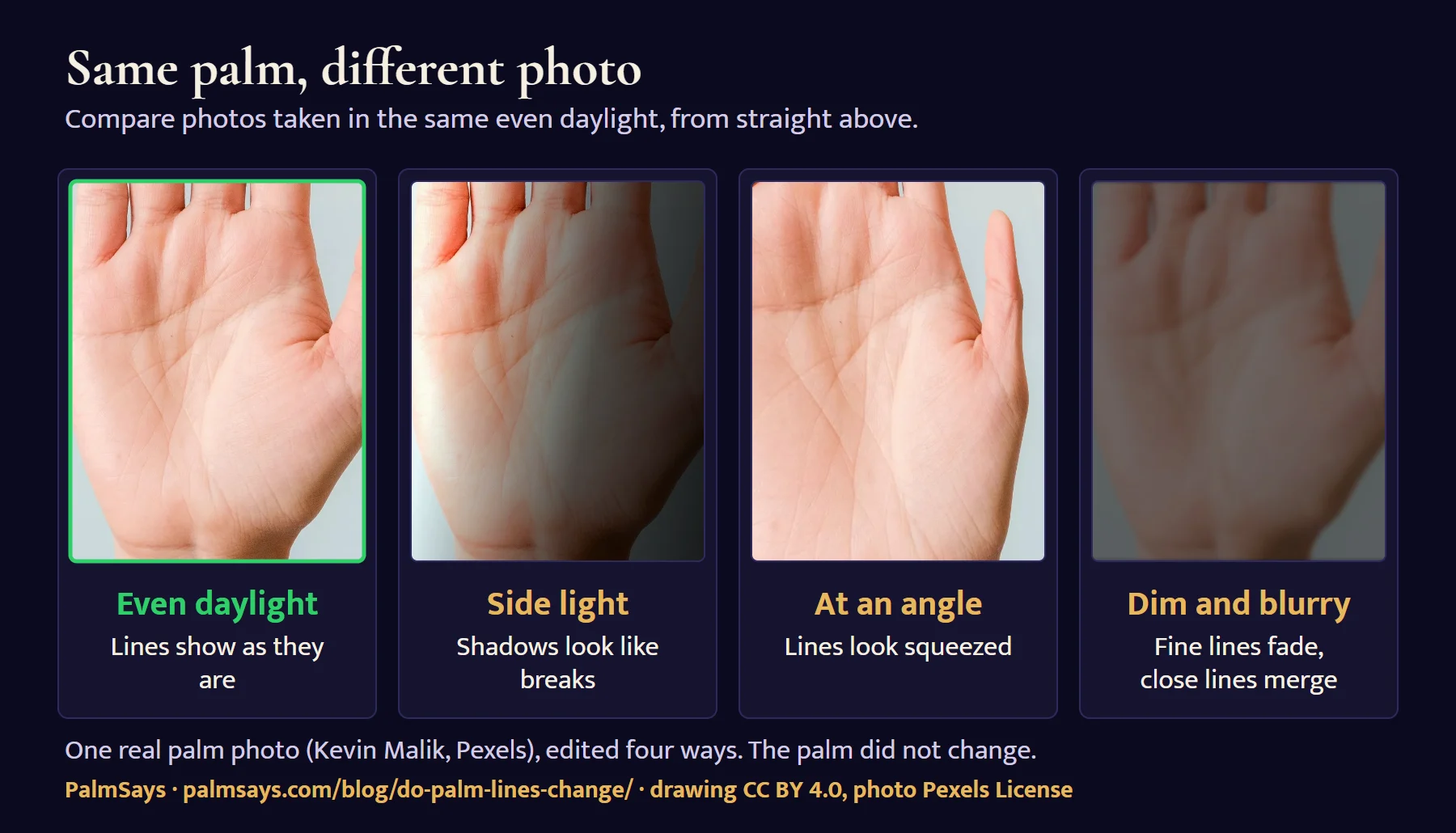 One real palm photo shown four ways: in even daylight the lines show as they are; with side light, shadows look like breaks; at an angle, the lines look squeezed; dim and blurry, fine lines fade and close lines merge. The palm is the same in all four.