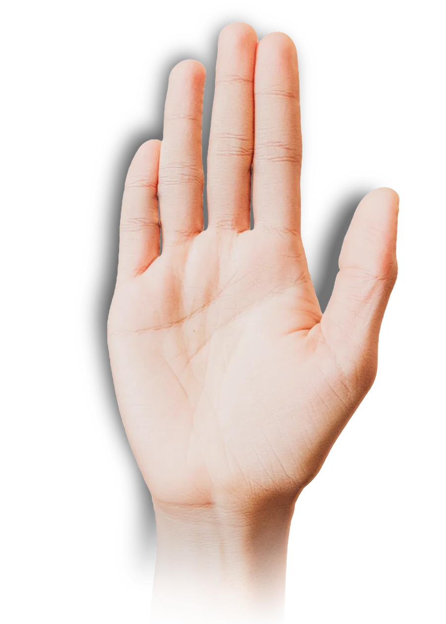 A real photo of an open palm. Its heart, head, life and fate lines come from a real PalmSays scan of this photo.