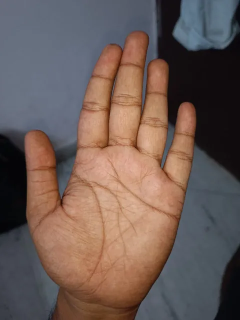 A real open left palm, photographed indoors, with the heart line, head line, life line and fate line lines traced by PalmSays.
